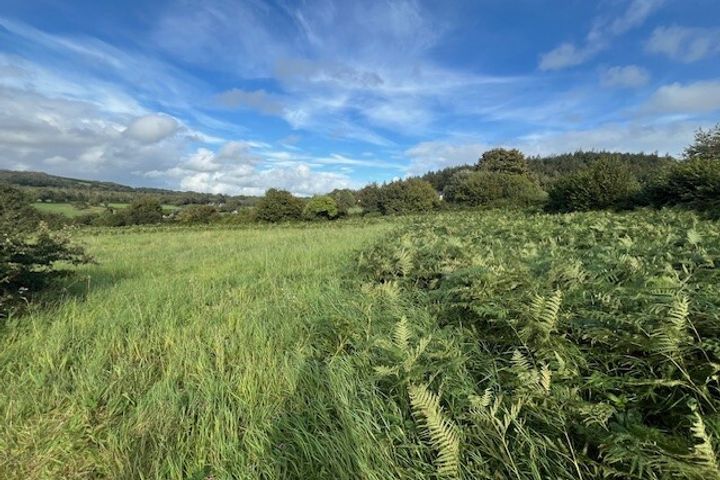 Glenbower, Coolbawn, Nenagh, Co. Tipperary