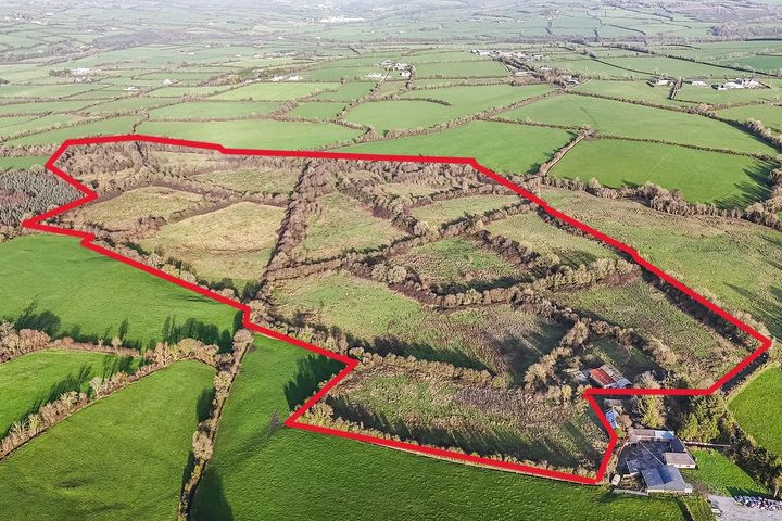 c. 23.33 hectares at Muckalee, Ballyfoyle, Co. Kilkenny, R95HT63