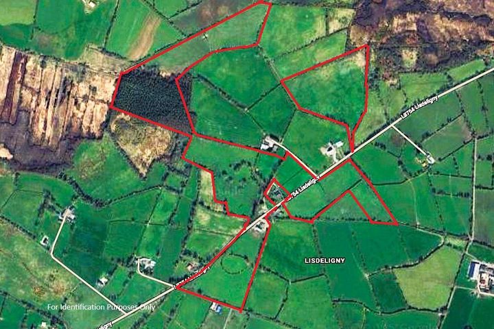 Lisdeligny, Killimor, Ballinasloe, Co. Galway