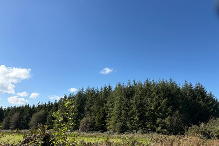 Killuney, Dunmore, Co. Galway