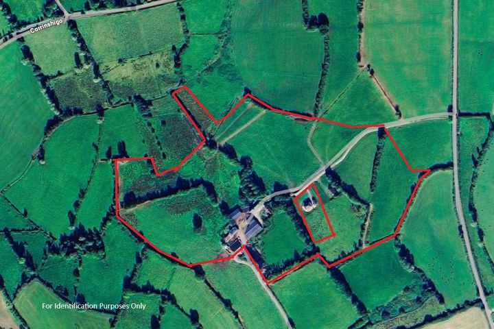 Lands Dartree, Killynenagh, Drum, Co. Monaghan