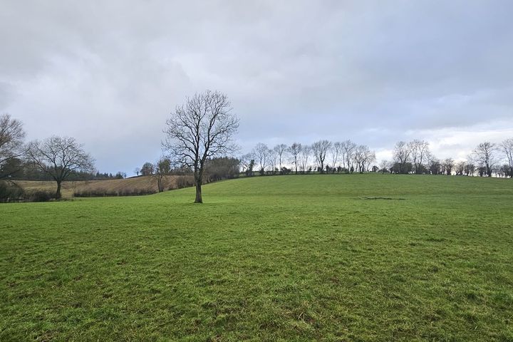 Drumagelvin, Glaslough, Co. Monaghan