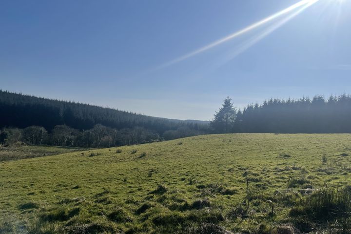 Inchadrinagh, Newport, Co. Tipperary