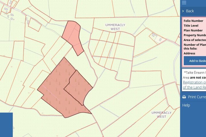 17.27 Acres Of Forestry In Milltown, Milltown, Tuam, Co. Galway