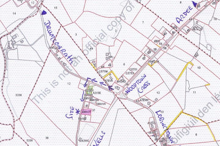 Woodtown, Drumconrath, Lobinstown, Co. Meath