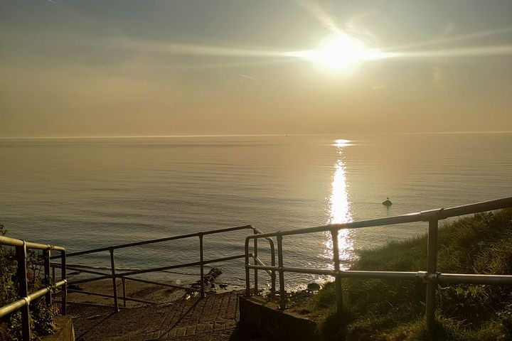 Woodbrook Avenue, Shankill, Dublin 18