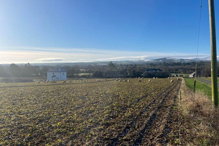 Charlesfort C.0.75 Acre Site, Charlesfort, Ferns, Co. Wexford