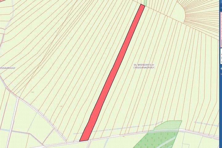 3.45 Acres of Bog at Lissavruggy, Newbridge, Ballygar, Co. Galway