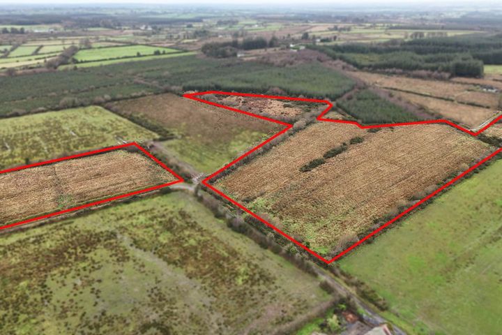 11 ACRES (approx) OF PRIME GROWING FORESTRY LOCATED AT LANAMARLA, Ballymoe, Co. Galway