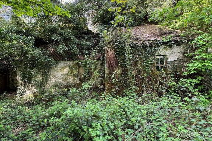 Coohey, Ballybay, Co. Monaghan