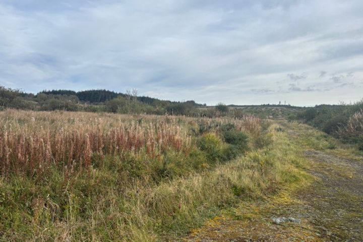 Glann West, Charlestown, Co. Mayo