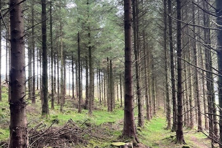 Barravakeen, Clonmel