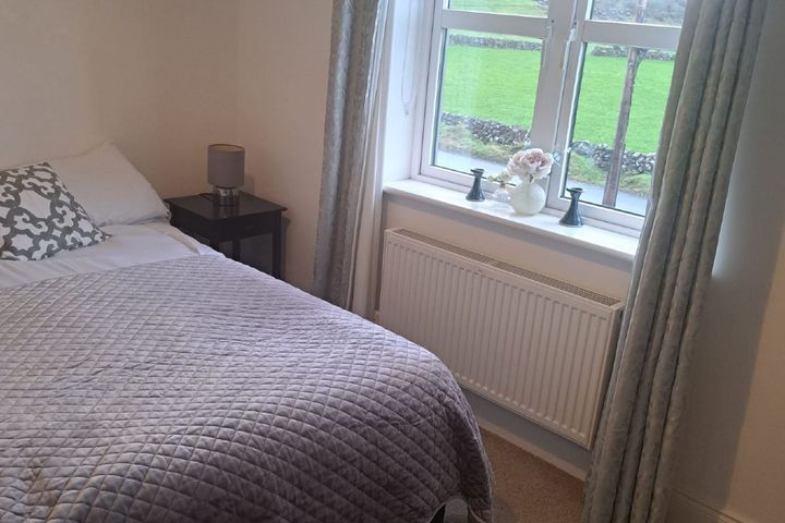 Fox, Killeen, Claregalway, Galway, Castlegar, Co. Galway