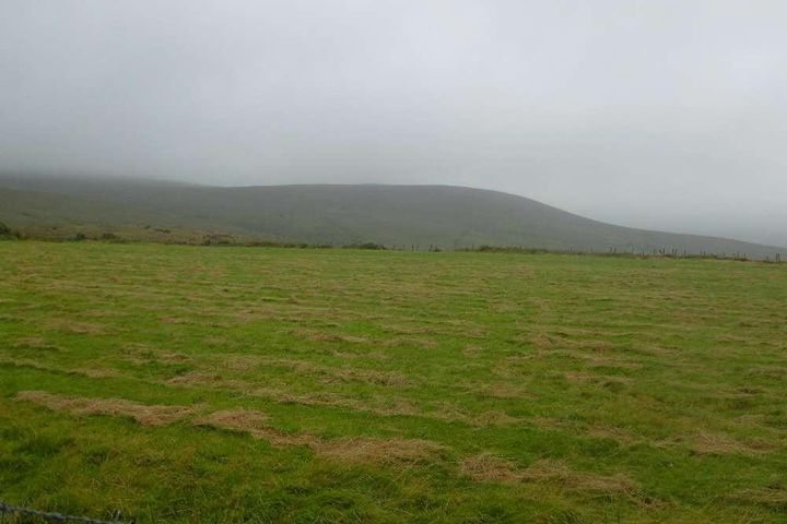 C.12 Acres At Boolahalla, Newcastle, Co. Tipperary, Newcastle, Co. Tipperary