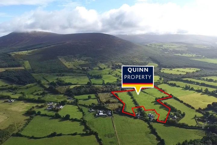 Graigue (C. 17 Acre Holding), Kiltegan, Co. Wicklow
