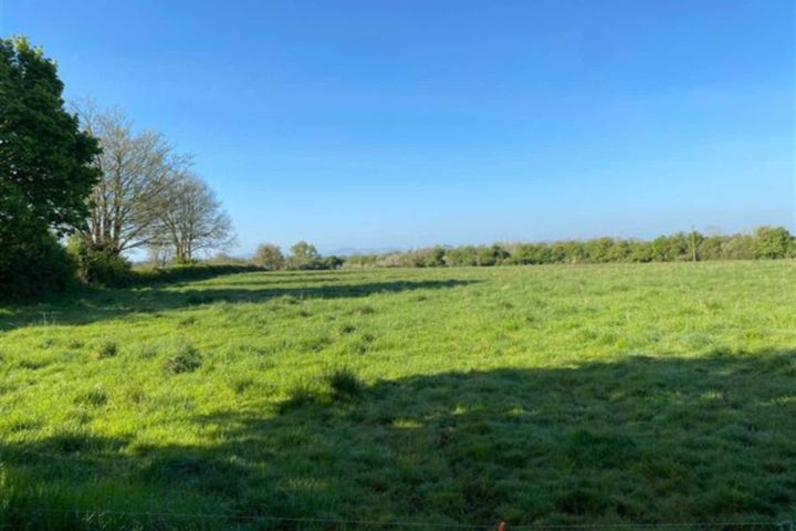 Attyflin, Patrickswell, Co. Limerick