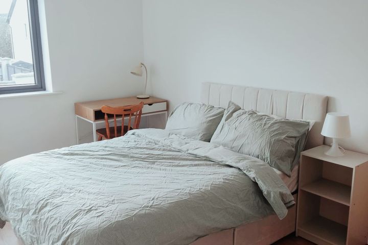 Browneshill Wood, Browneshill Road, Carlow, Carlow Town, Co. Carlow