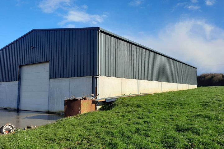 Togher cross, Kilbricken, Portlaoise, Co. Laois