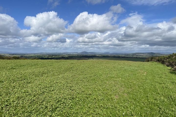 Ballineroad (C. 5.6 Acres), Oulart, Gorey, Co. Wexford