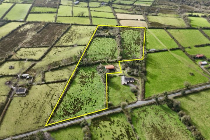 6.5 acres at Lissavruggy, Newbridge, Ballinasloe, Co. Galway, H53YT67