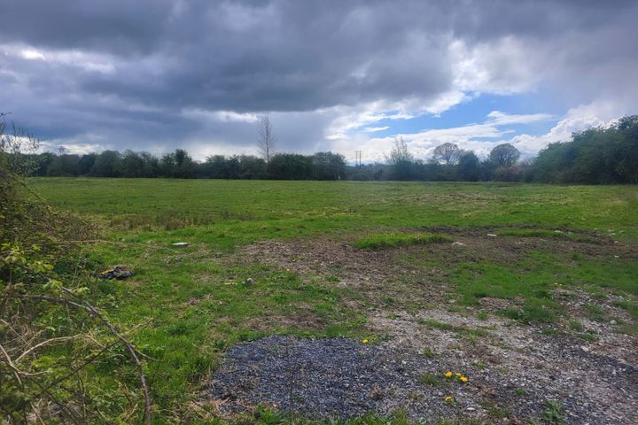 Lemonfield, Crecora, Patrickswell, Co. Limerick, V94W1WX