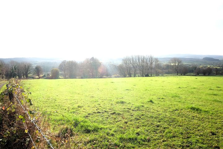 Ballynagreeve, Kilchreest, Loughrea, Co. Galway