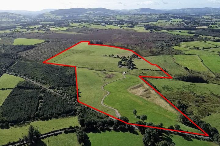 Kilcarney (C. 67.6 Acres), Hacketstown, Co. Carlow
