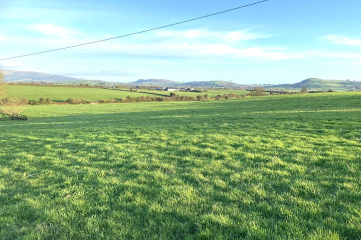 Tully, Kilmallock, Co. Limerick