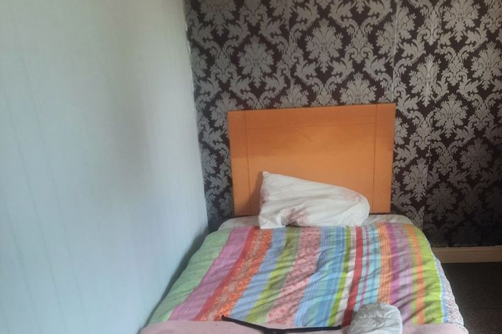 Annsfield Woods, Athlone, Co. Westmeath