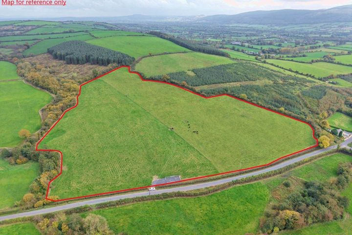 Ballyvadlea, Drangan, Co. Tipperary