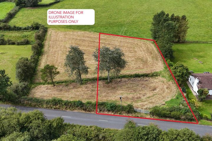 Murroe Wood, Murroe, Co. Limerick