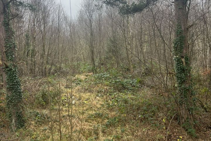Circa 1.34 Acres, Rathernan, Connell, Kildare, Co. Kildare