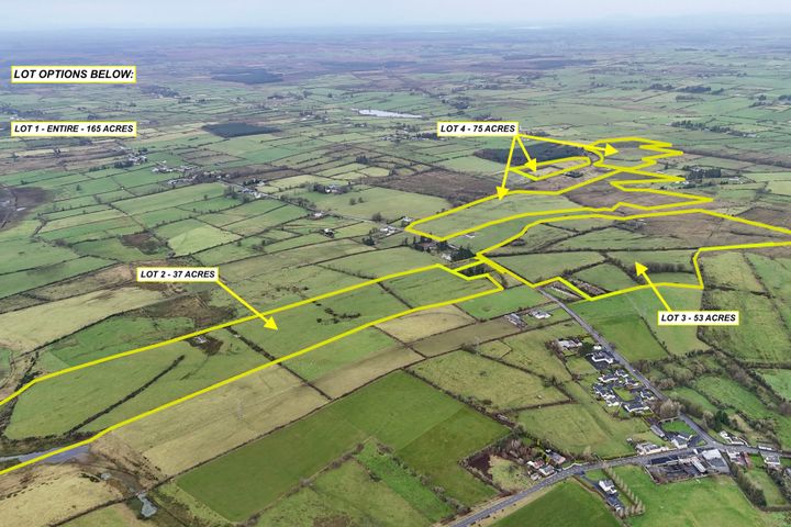 165 Acres (approx.) at Castleplunkett, Castlerea, Co. Roscommon