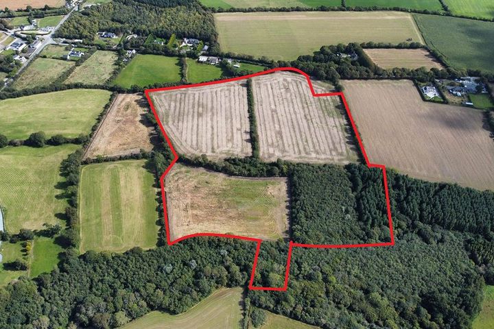 c. 26 Acres Holding at Tullycanna, Ballymitty, Co. Wexford