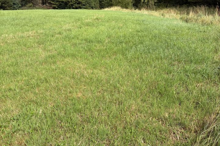 Griffinstown, Coralstown, Kinnegad, Co. Westmeath