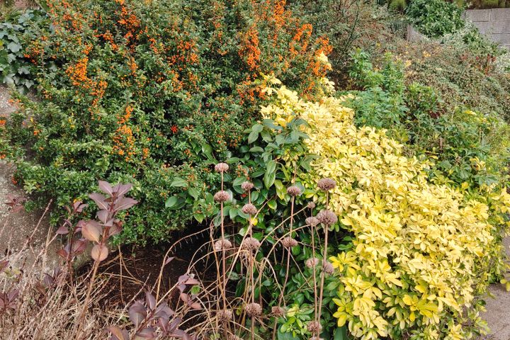 Clonskeagh, Dublin 14, Goatstown, Dublin 14