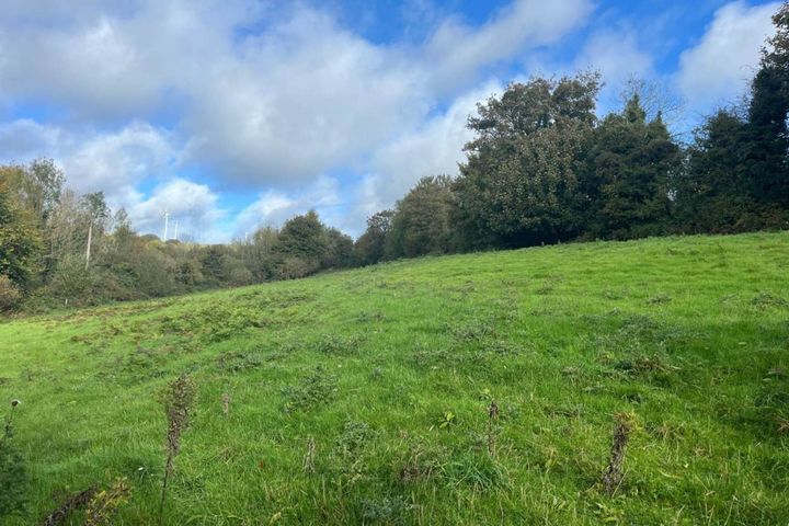 Ballynultagh (1.8 Acre Site), Shillelagh, Co. Wicklow