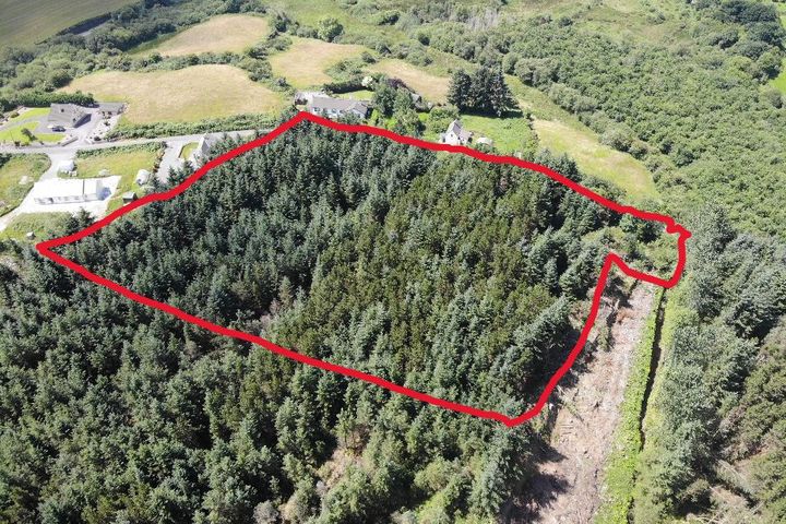 Moneyreague, Dunmanway, Dunmanway, Co. Cork, P47Y163