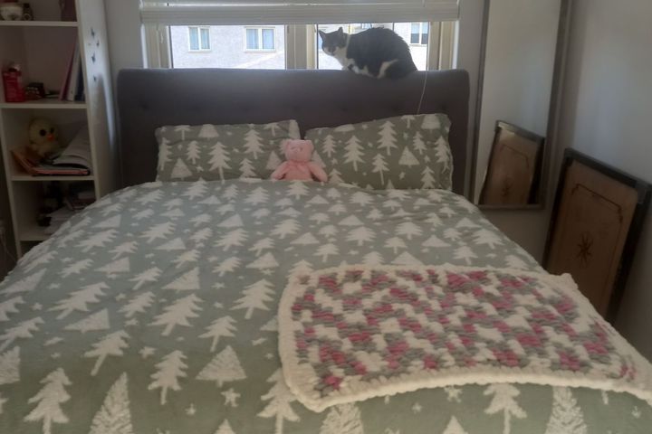  The Drive, The Paddocks, Dublin 15, Clonsilla, Dublin 15