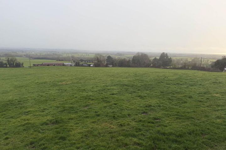 C. 9 Acres At Boulerea, Knock, Roscrea, Co. Tipperary