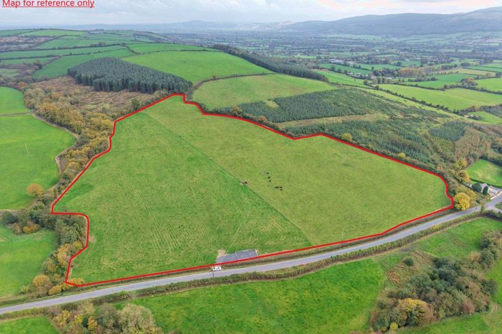 Ballyvadlea, Drangan, Co. Tipperary