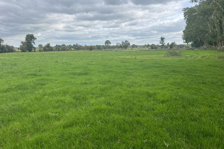 Belleville, Monivea, Co. Galway