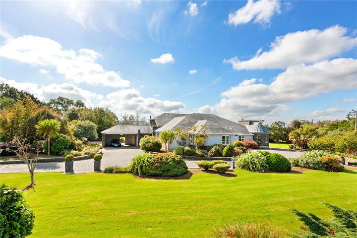 Hillery Cade, Coolcots Lane, Wexford, Wexford