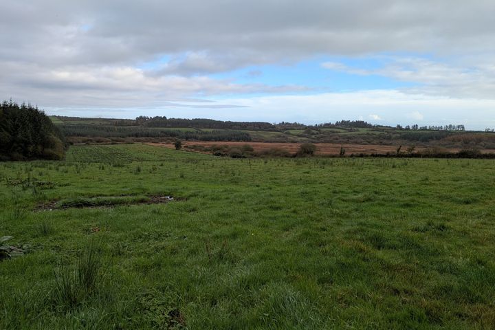 c.38 Acres at Derrybrick, Knockalough, Co. Clare