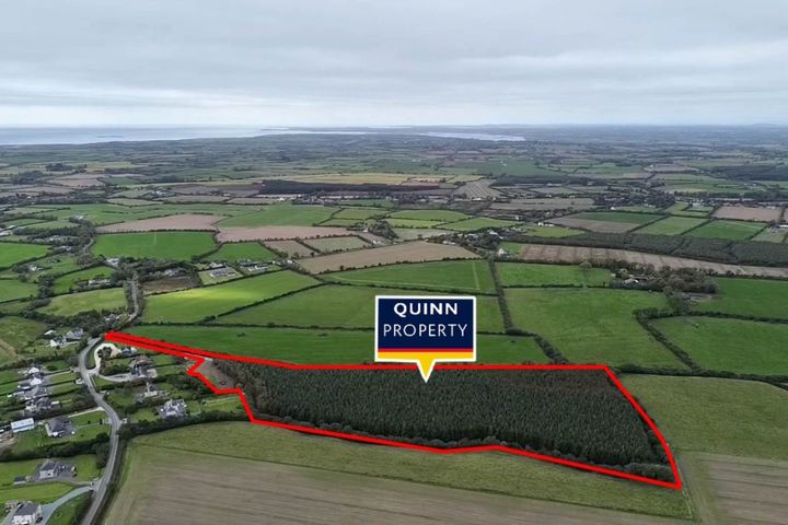 Moortown Little, C.13.5 Acres, Ballymitty, Co. Wexford