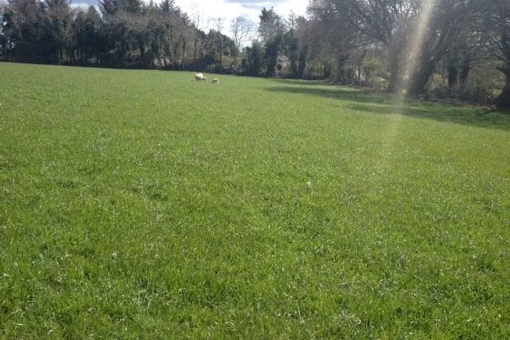 Broomfield, Slane, Co. Meath