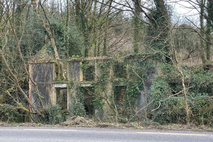 Derrynagree East, Drimoleague, Co. Cork