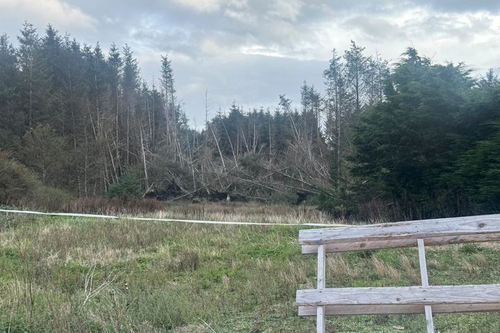 Ballytarsna, Kilshanny, Co. Clare, V95AEH5