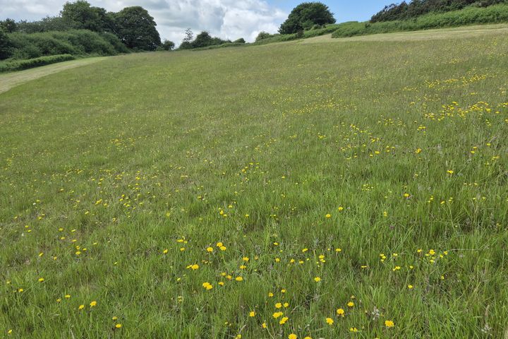 Inchirahilly, Farnanes, Co. Cork