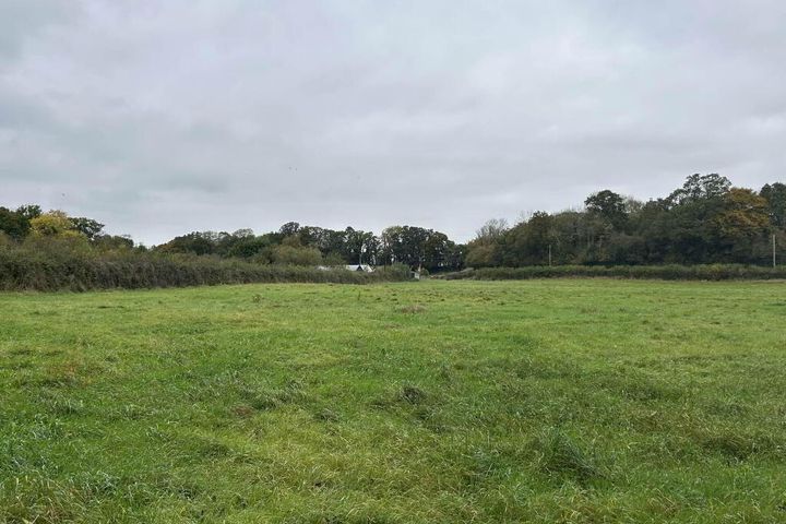 C. 1.74 Ha, Milltown, Shinrone, Co. Offaly